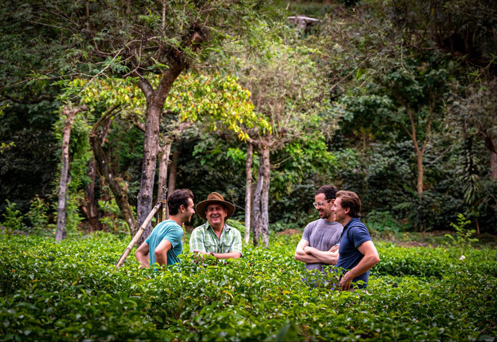 Compass Coffee team visiting farmers 