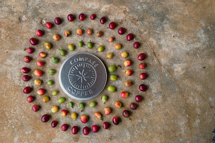 Coffee beans in a circle around a tin lid